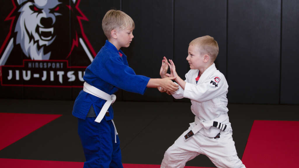 Self defense in Kingsport - BJJ and Karate